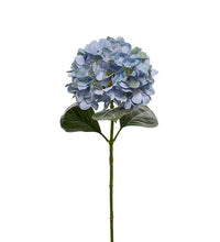 Load image into Gallery viewer, Hortensia 65 cm blå
