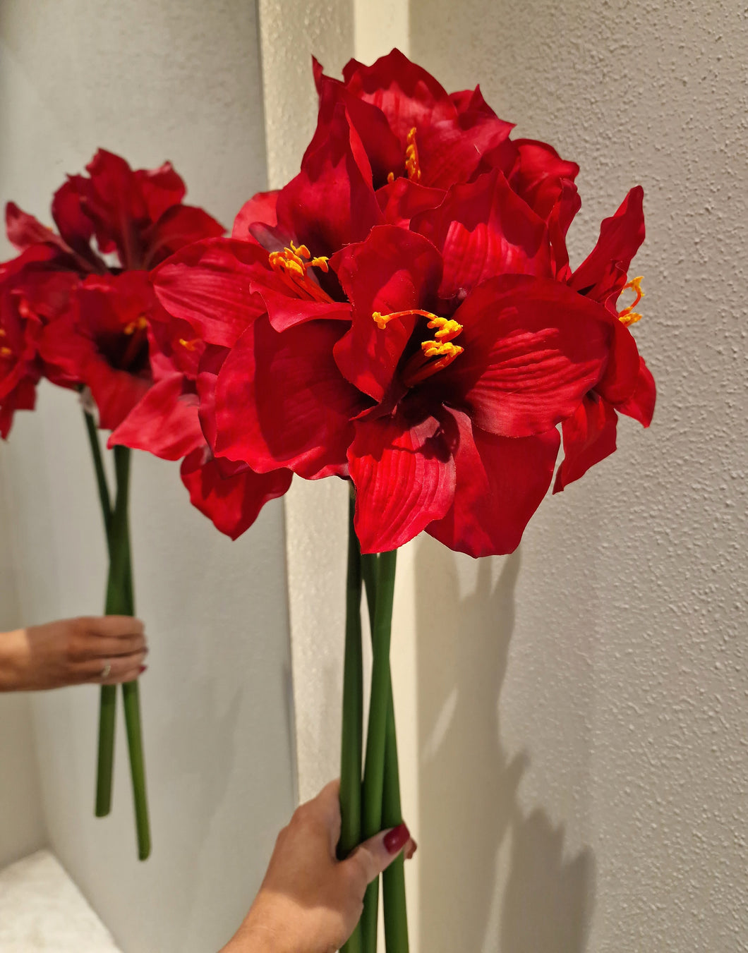 Amaryllis 65 cm Röd