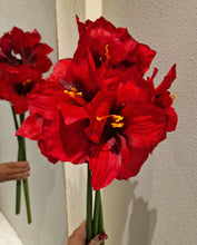 Ladda upp bild till gallerivisning, Amaryllis 65 cm Röd
