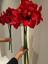 Ladda upp bild till gallerivisning, Amaryllis 65 cm Röd
