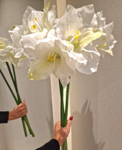 Ladda upp bild till gallerivisning, Amaryllis 65 cm Vit
