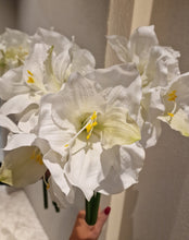 Ladda upp bild till gallerivisning, Amaryllis 65 cm Vit
