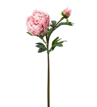 Ladda upp bild till gallerivisning, Pion Rosa 65 cm Real touch
