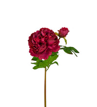 Load image into Gallery viewer, Pion Burgundy 65 cm Real touch
