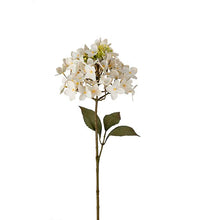 Load image into Gallery viewer, Hortensia Offwhite 70 cm
