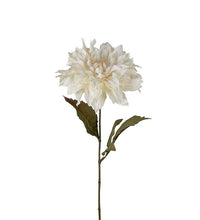 Load image into Gallery viewer, Dahlia Offwhite 70 cm
