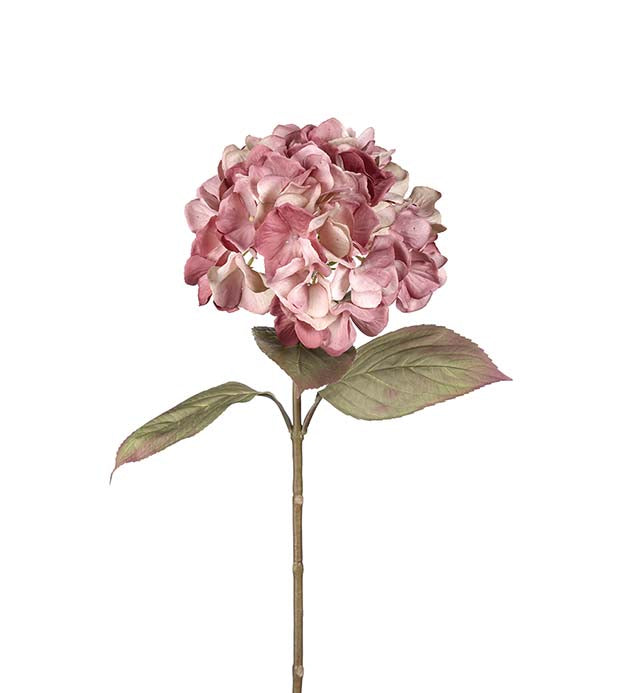 Hortensia 65 cm Rosa