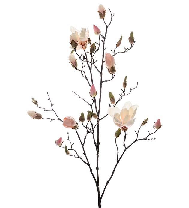 Magnolia 110 cm Rosa