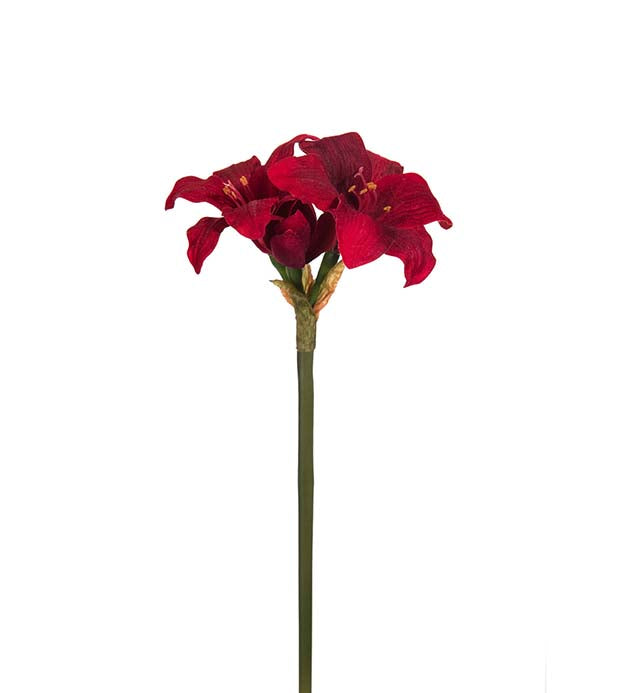 Amaryllis 35 cm