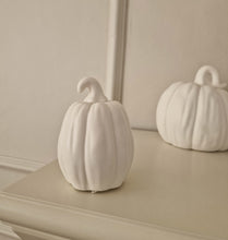 Ladda upp bild till gallerivisning, Pumpa Ledbelysning 10 cm
