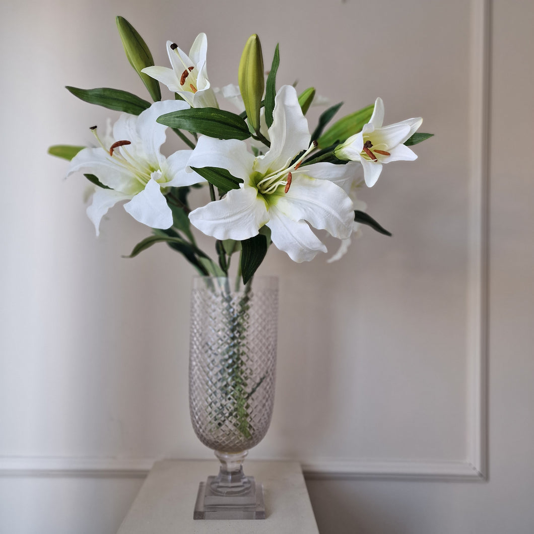 Lily White, 70 cm