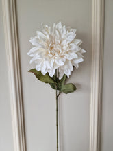 Ladda upp bild till gallerivisning, Dahlia Offwhite 70 cm
