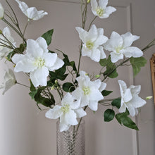 Ladda upp bild till gallerivisning, Clematis 85 cm vit
