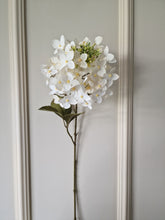 Load image into Gallery viewer, Hortensia Offwhite 70 cm
