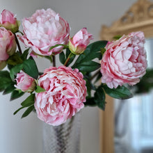 Load image into Gallery viewer, Peony 65 cm
