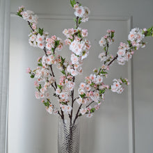 Load image into Gallery viewer, Cherry blossom 120 cm
