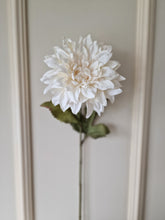 Load image into Gallery viewer, Dahlia Offwhite 70 cm
