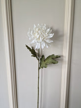 Ladda upp bild till gallerivisning, Chrysanthemum Offwhite 70 cm
