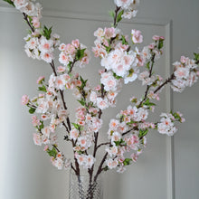 Load image into Gallery viewer, Cherry blossom 120 cm
