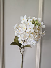 Cargar imagen en el visor de la galería, Hortensia Blanquecino 70 cm
