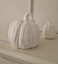 Ladda upp bild till gallerivisning, Pumpa Ledbelysning 13 cm
