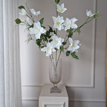 Ladda upp bild till gallerivisning, Clematis 85 cm vit
