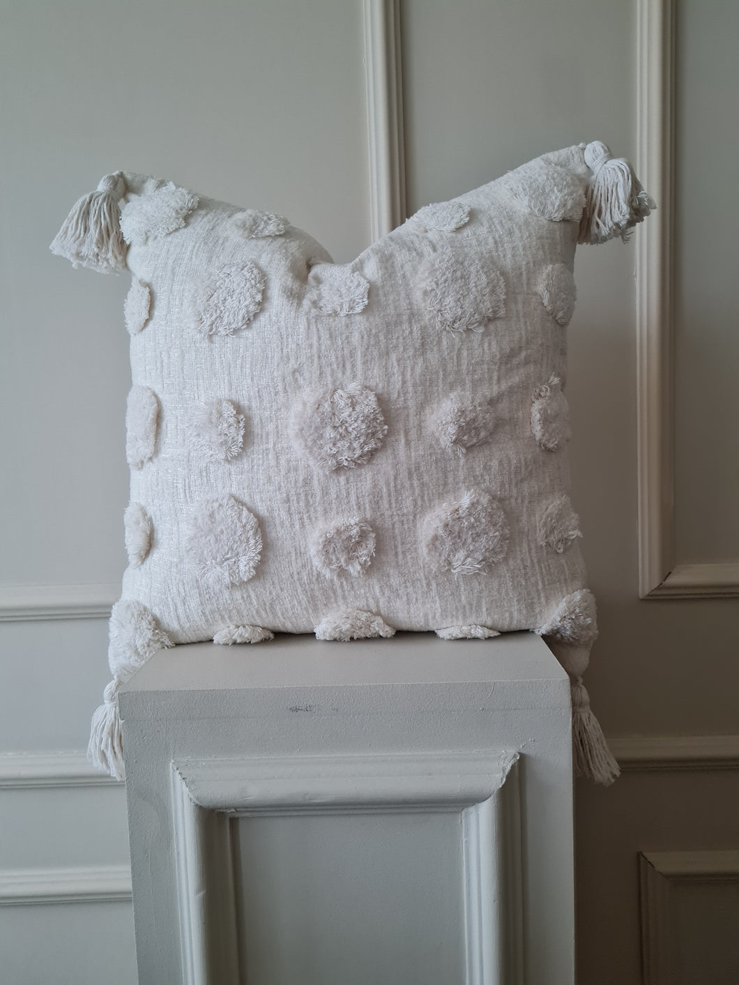 POM CUSHION CASE