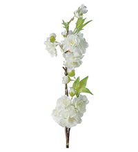 Cargar imagen en el visor de la galería, Flor de cerezo Blanco 45 cm
